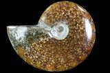 Polished, Agatized Ammonite (Cleoniceras) - Madagascar #88100-1